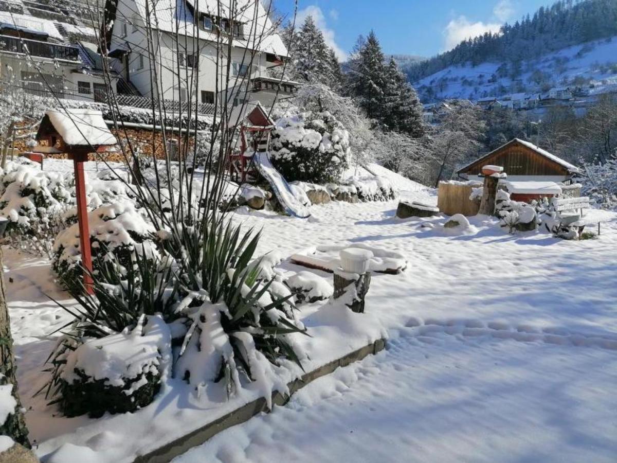 Am Sersbach Forbach Extérieur photo